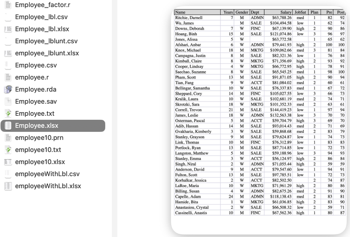 Data table, named Employee.xlsx, stored as an Excel file.